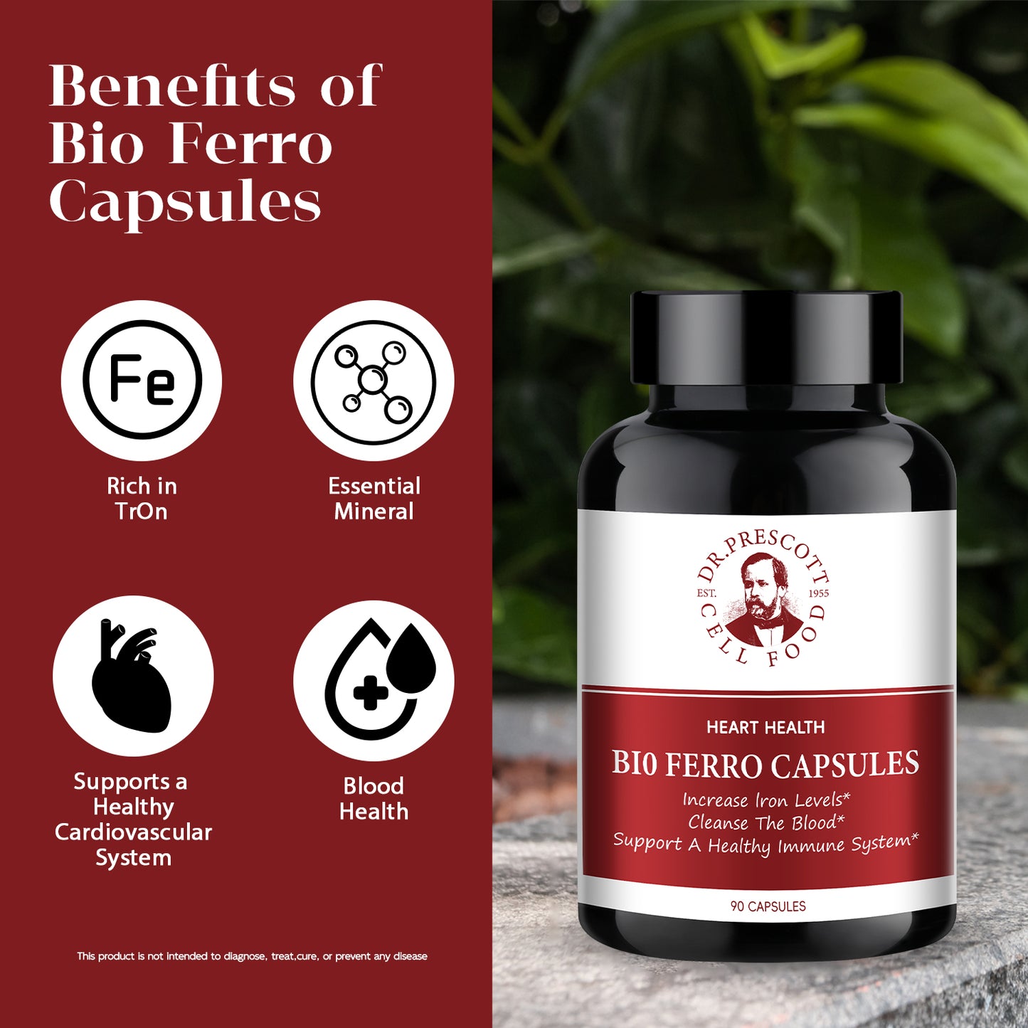 Bio Ferro Capsules