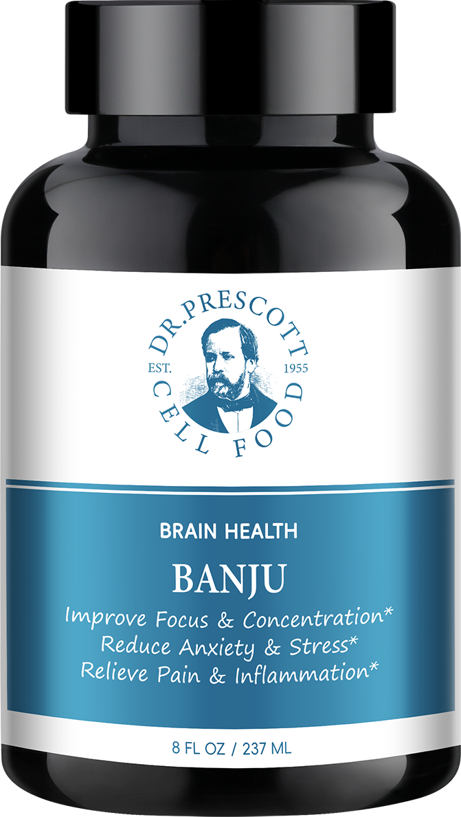 Banju