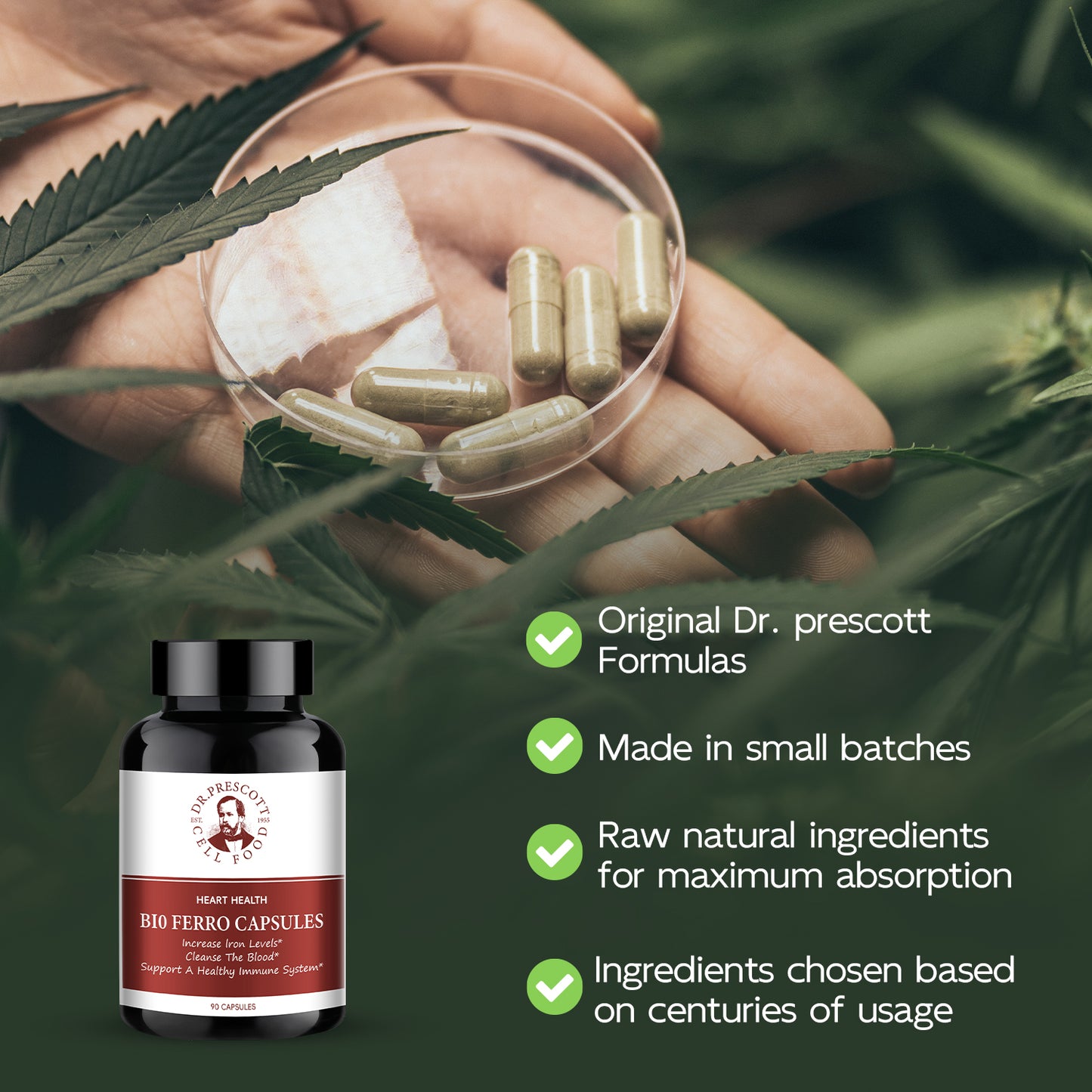 Bio Ferro Capsules