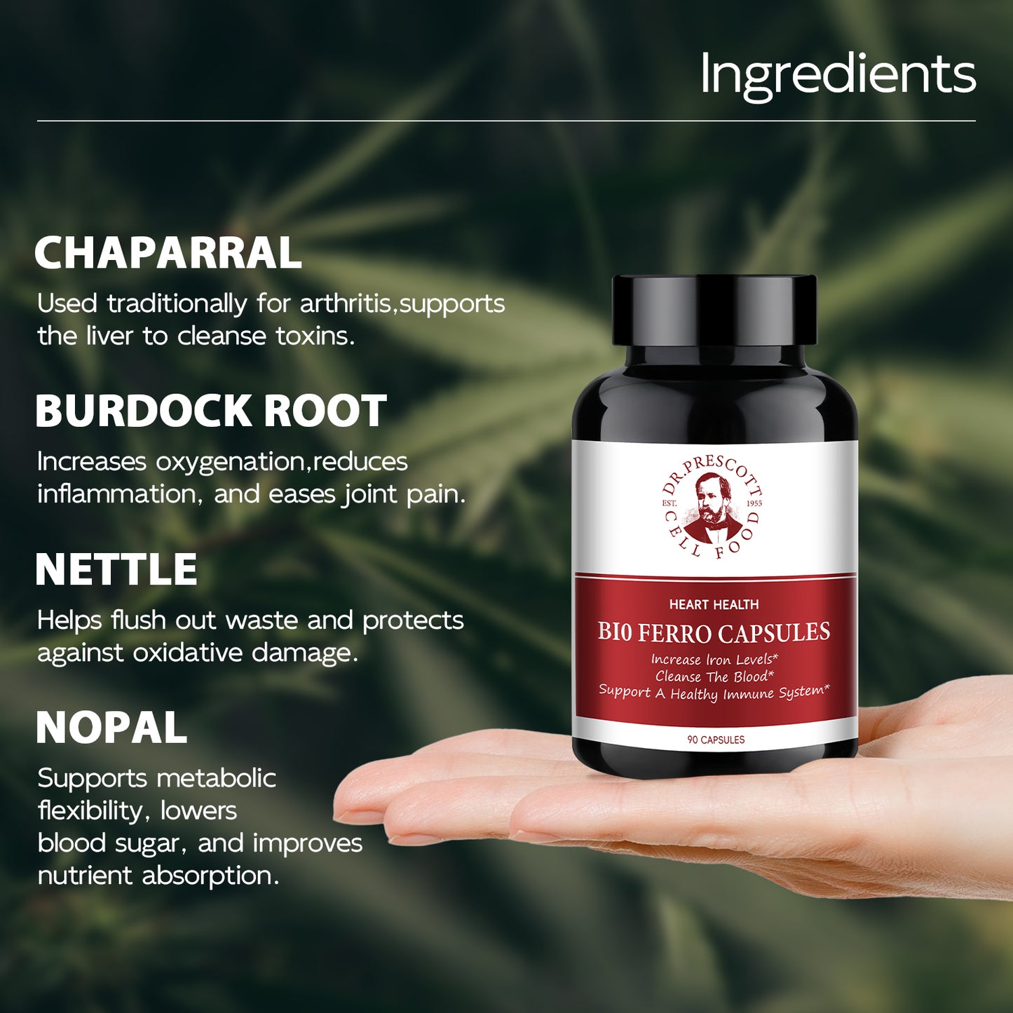 Bio Ferro Capsules